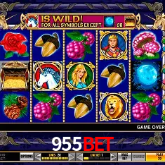955bet Brasília - Casino Guide